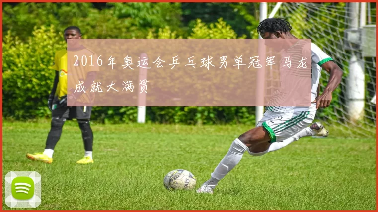 2016年奥运会乒乓球男单冠军马龙成就大满贯