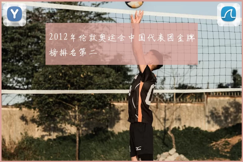 2012年伦敦奥运会中国代表团金牌榜排名第二