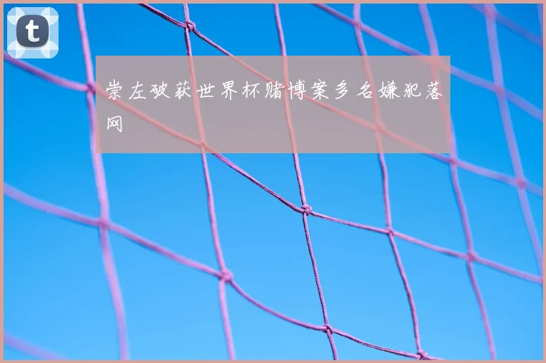 崇左破获世界杯赌博案多名嫌犯落网